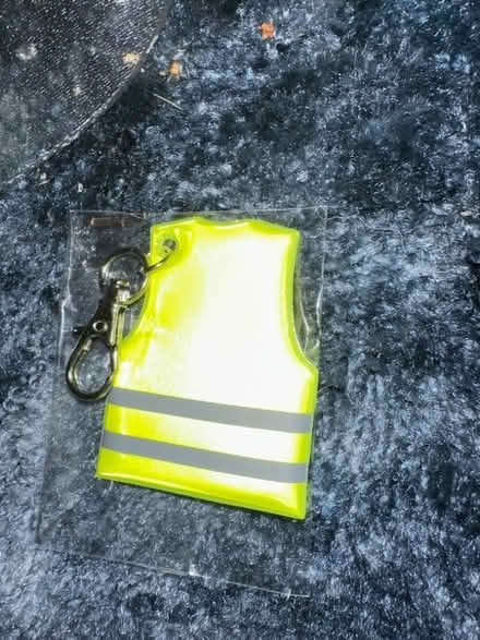 Photo of free Reflective keyring (Ashford TW15) #1