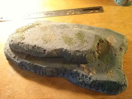 Photo of free Warhammer/TTRPG terrain (Blackbird Leys OX4) #3