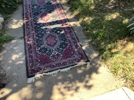Photo of free Runner (Brightwood, Washington D) #2