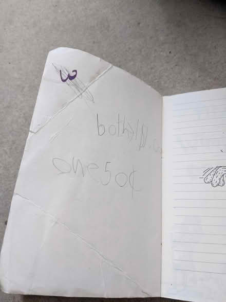 Photo of free Two diary of a wimpy kid books (Hastings TN34) #2