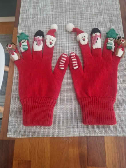 Photo of free Novelty Mittens (HX3) #1
