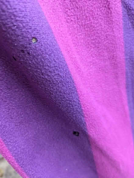 Photo of free Picnic rugs (Storrington) #3