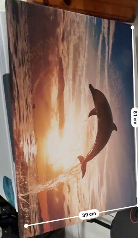Photo of free Dolphins canvas (Gipton LS8) #1