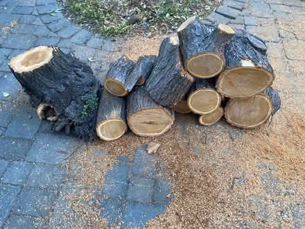Photo of free Firewood - Dry (Midtown Palo Alto) #1