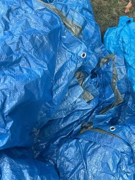 Photo of free Tarpaulin differing sizes (CH61) #2