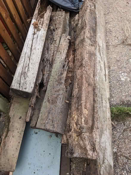 Photo of free Rotten sleepers (Middlewood S35) #1