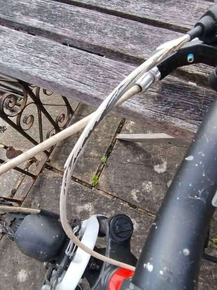 Photo of free Boys bike (Cuxton ME2) #2