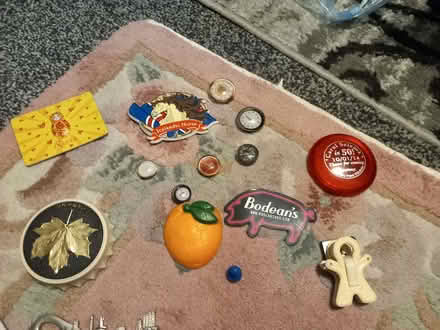Photo of free Collection of fridge magnets (South Bermondsey SE16) #1