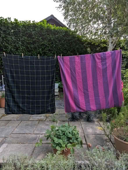 Photo of free Picnic rugs (Storrington) #2