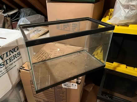 Photo of free Terrarium (Flower and Wayne Aves., SS) #1