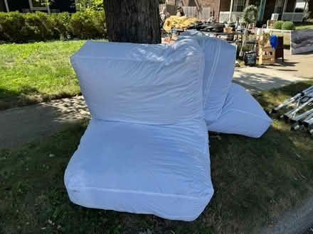 Photo of free Bean Bags (Royal Oak) #1