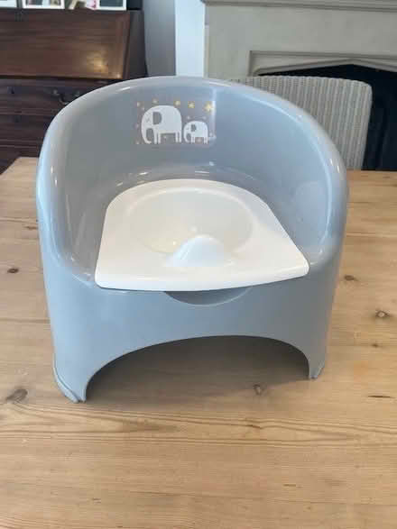 Photo of free Potty (Barnes SW13) #1