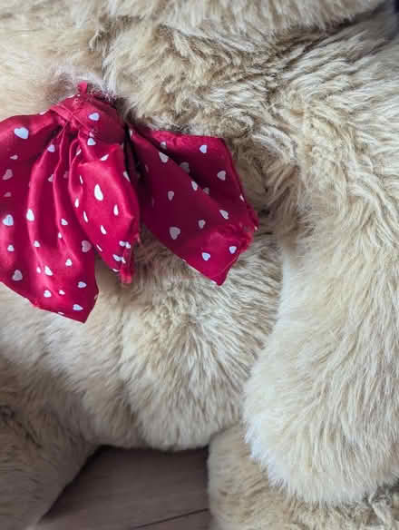 Photo of free Large Teddy (Old Town SG1) #2