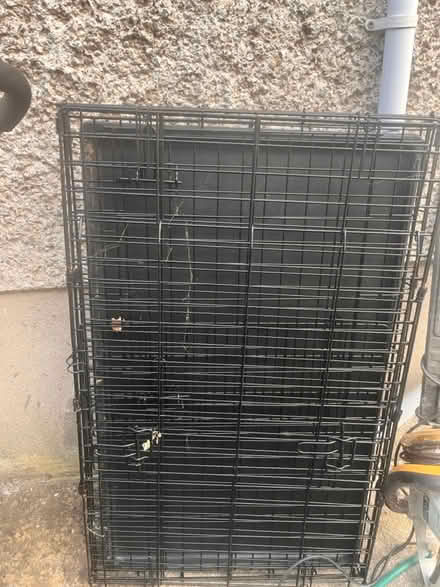 Photo of free Kids Bike &. Scooters & dog cage (Dun Laoghaire) #1