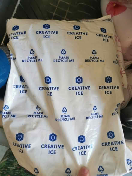 Photo of free Ice bags (76th - Upper West Side) #1