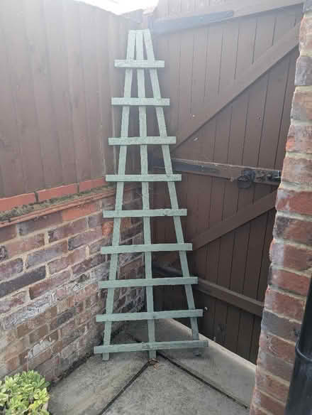 Photo of free Painted trellis (Old Town SG1) #1