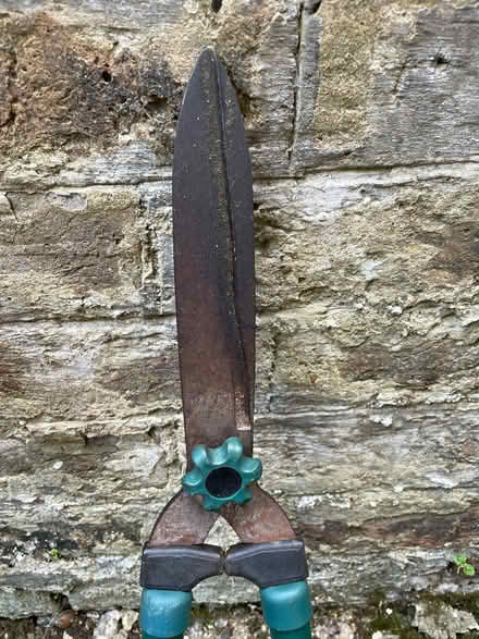 Photo of free Garden tools (Wormholt W12) #3