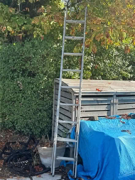 Photo of free Ladders (Great Dunmow CM6) #1