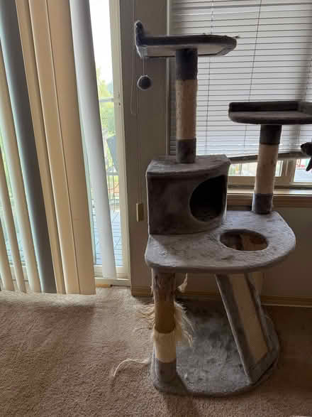 Photo of free Used cat tree (Eastlake) #1