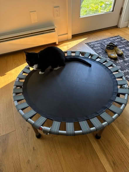 Photo of free Exercise Trampoline (Stillwater) #1