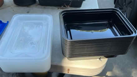 Photo of free Disposable food storage containers (Mountain View nr train station) #1