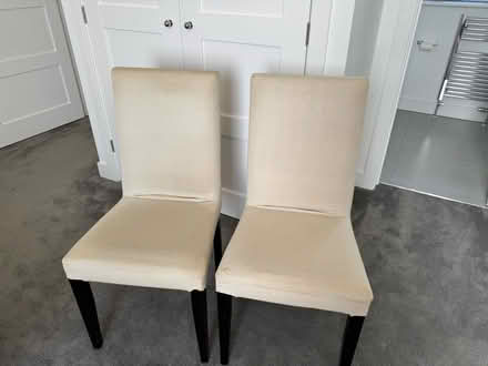 Photo of free 2 x dining chairs (Trebah TR11) #1