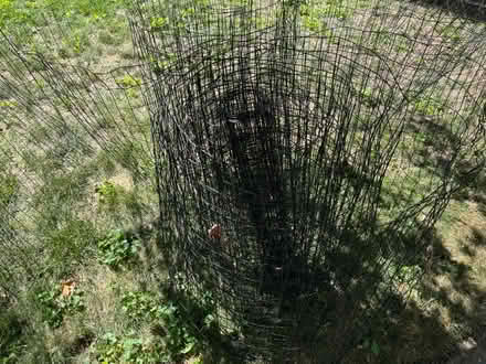 Photo of free Black wire fencing (Royal Oak) #1