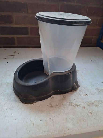 Photo of free Dog 'refilling' water bowl (South Green CM11) #2