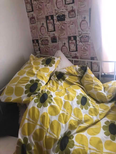 Photo of free Day bed (Redditch B98) #1