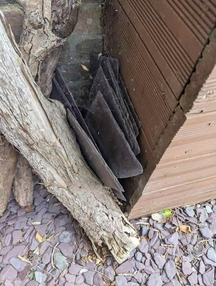 Photo of free Old slates (Old Town SG1) #1