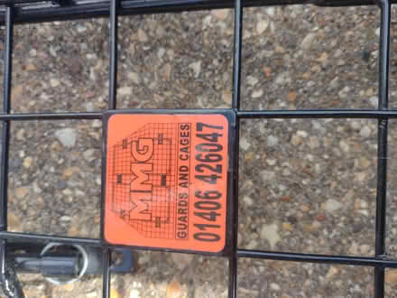 Photo of free Dog guard (for tail gate) (Heacham PE31) #1