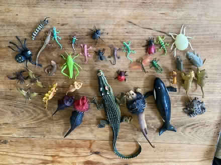 Photo of free Still Available Selection of plastic animals (Oldfield Park) #1