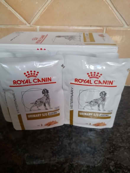 Photo of free Royal canin urinary s/o ageing 7+ dog food (Sabden BB7) #2