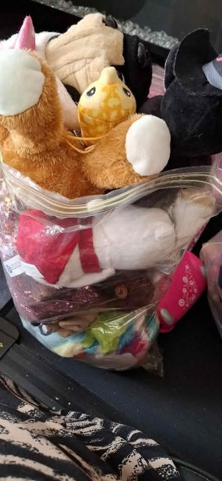Photo of free Assorted soft toys (Barton OX3) #1