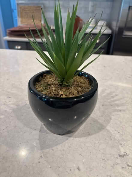 Photo of free Fake plant (Leesburg) #1