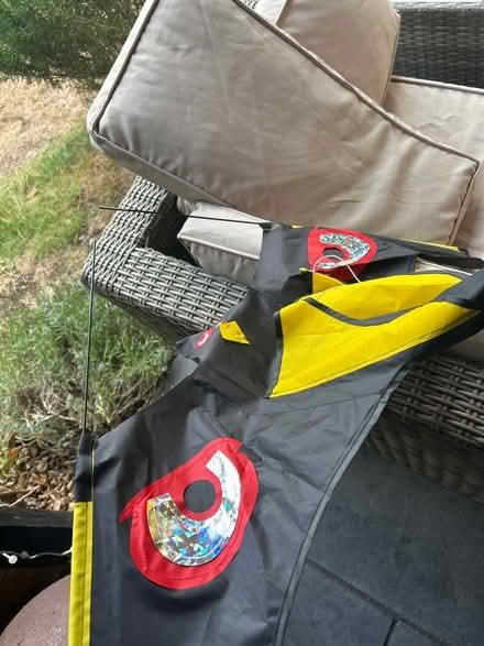 Photo of free Hawk kite for allotment (Bedford MK41) #1