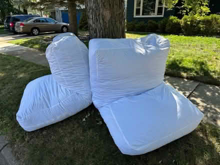 Photo of free Bean Bags (Royal Oak) #2