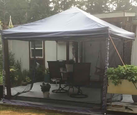 Photo of free 10x10 Canopy (Roy, Wa) #1
