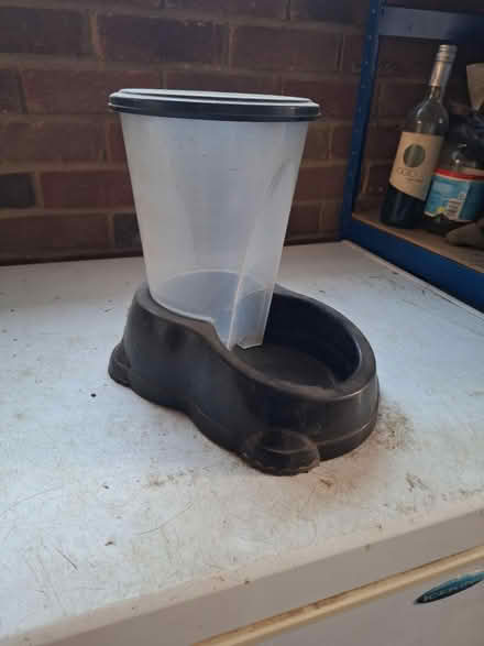 Photo of free Dog 'refilling' water bowl (South Green CM11) #1