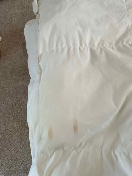 Photo of free Single duvet (Hayle) #2