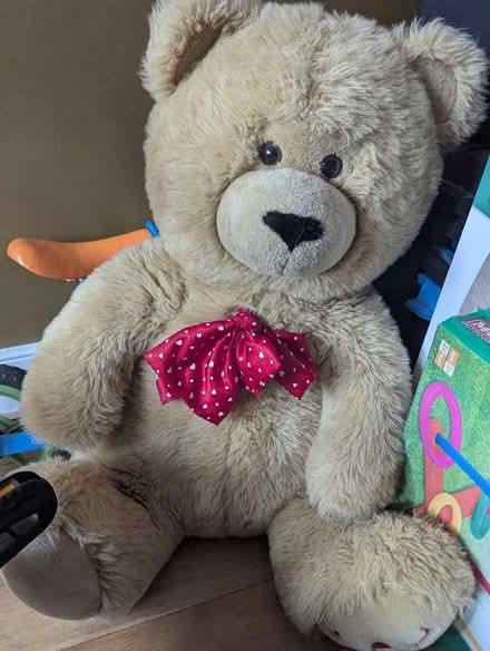 Photo of free Large Teddy (Old Town SG1) #1