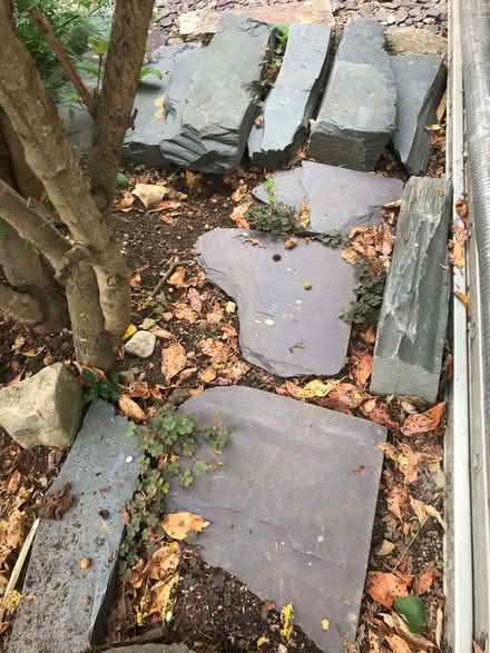 Photo of free Ornamental slate (Sandridge AL4) #2