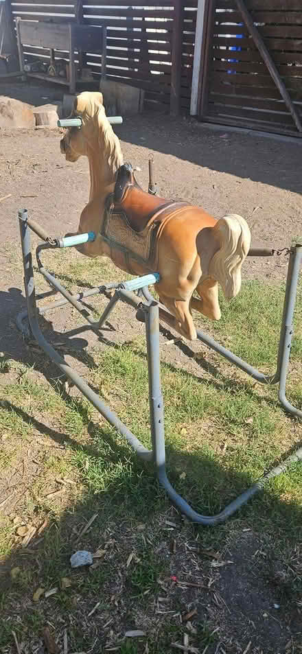 Photo of free Broken wonder horse (Vista) #2