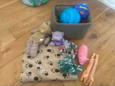 Photo of free Dog Toys & Blanket (Cheshunt En8) #1