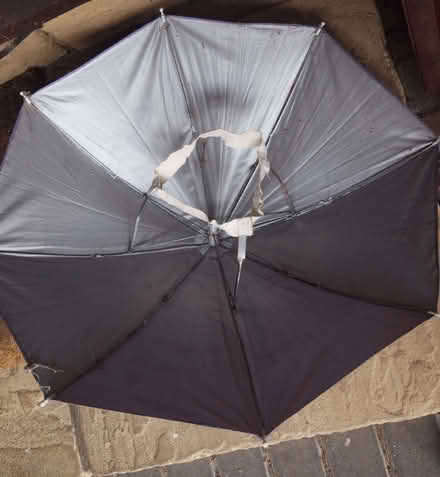 Photo of free small novelty umbrella (Oakwood LS8) #2