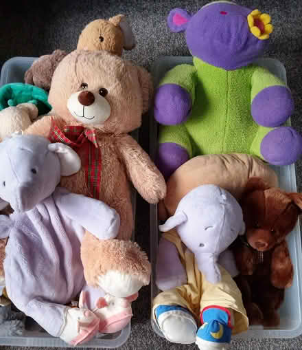Photo of free Cuddly Toys (LE8 5AH) #3