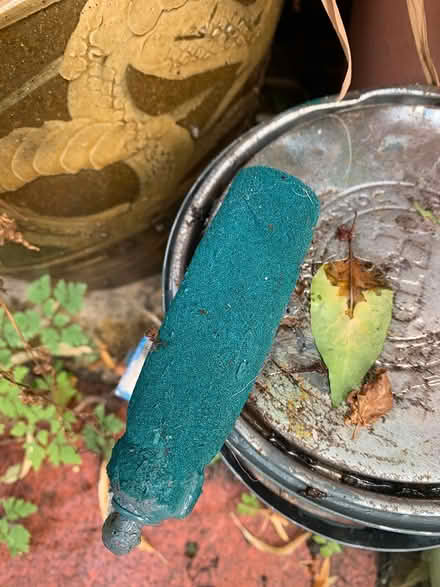 Photo of free Beautiful blue/ green paint (Brockley SE4) #1