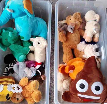 Photo of free Cuddly Toys (LE8 5AH) #1