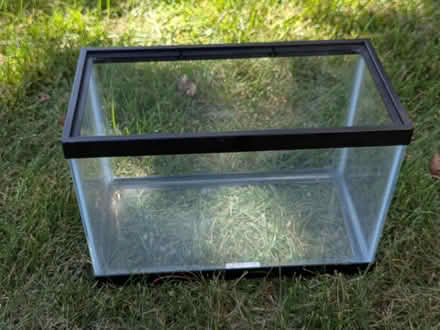 Photo of free Small glass tank (F section of Bowie) #1