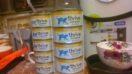 Photo of free 18 cat thrive food (BA2) #1